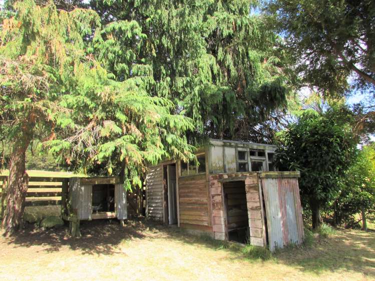 25 Gilchrist Street Te Aroha_17