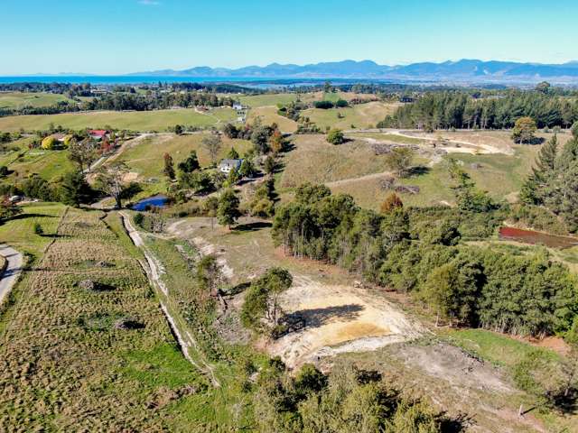 143A Carlyon Road Mahana_4