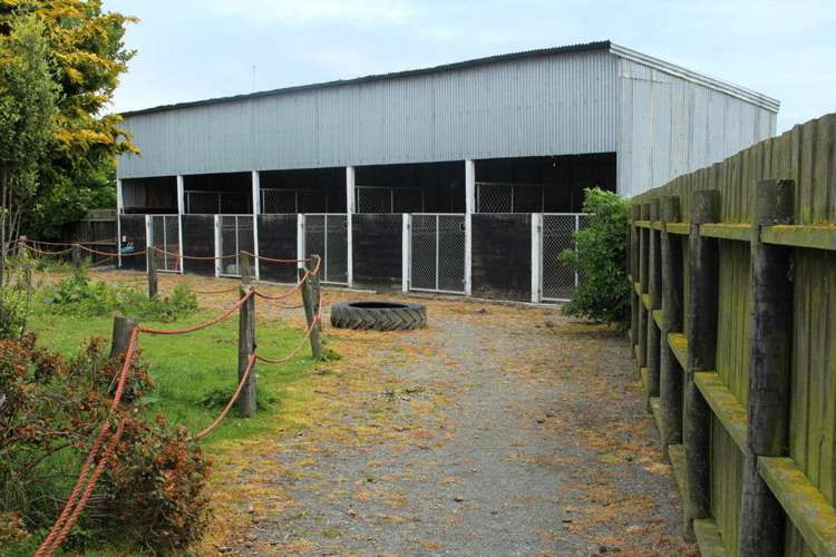 125 Norman Road Winton Surrounds_13