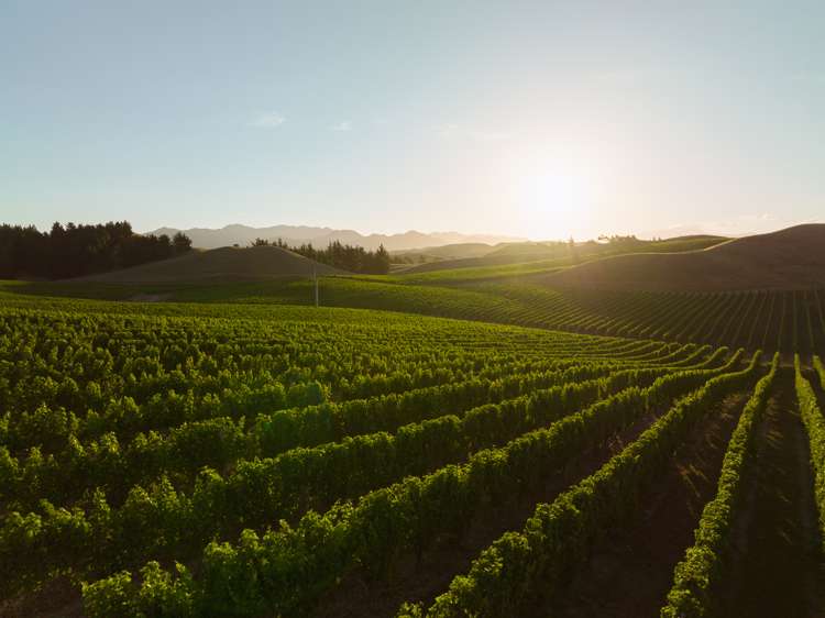 217 Caseys Road Seddon_17