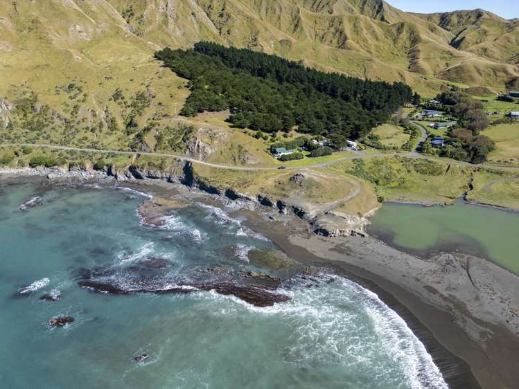 645A Te Awaiti Road Martinborough_33