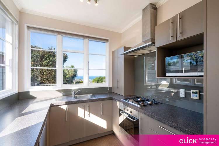 115 Mornington Road Kenmure_6