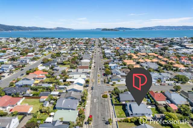59 William Street Petone_1