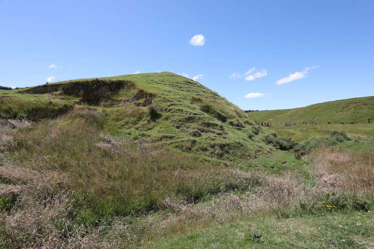 50 Highland View Drive Tokomaru_10