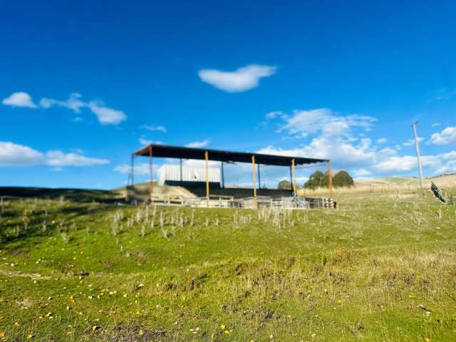 779 Ardgour Road Tarras_2