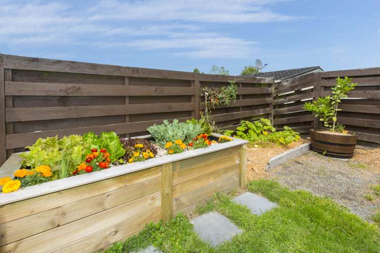 156 California Drive Totara Park_19