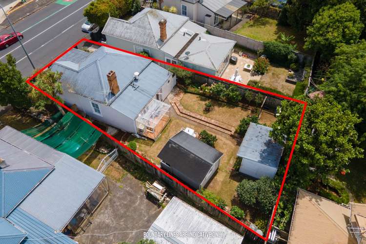 542 Manukau Road Epsom_20