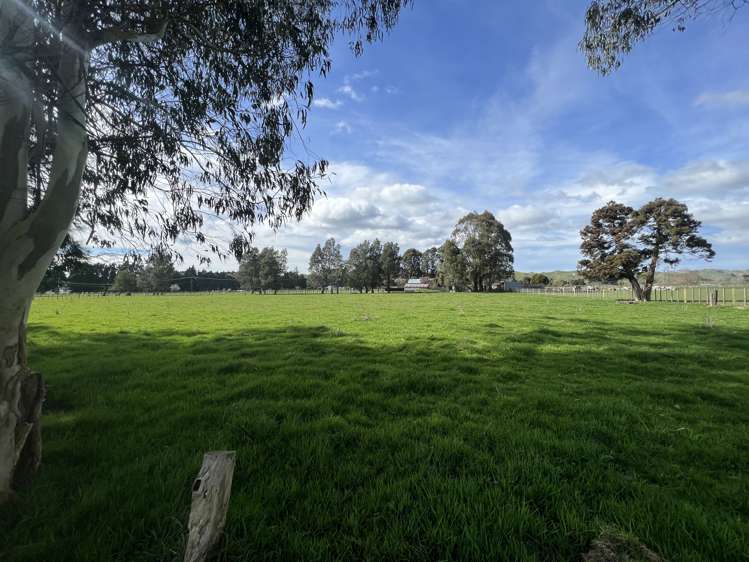 Tutaekara Road Pahiatua_5