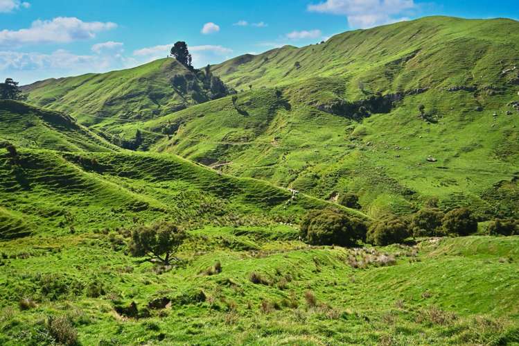 1678 Tiniroto Road Waerenga-O-Kuri_23