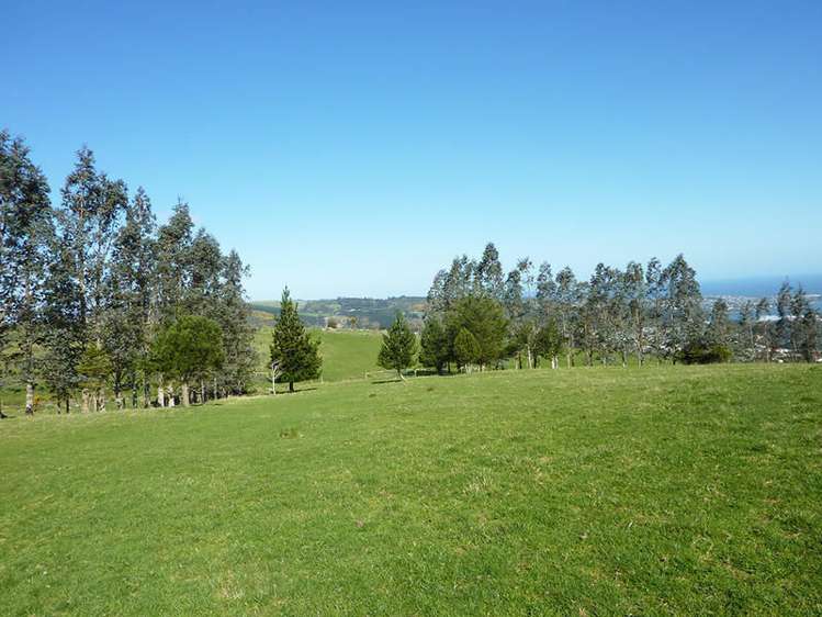 58 Cowan Road Pine Hill_10