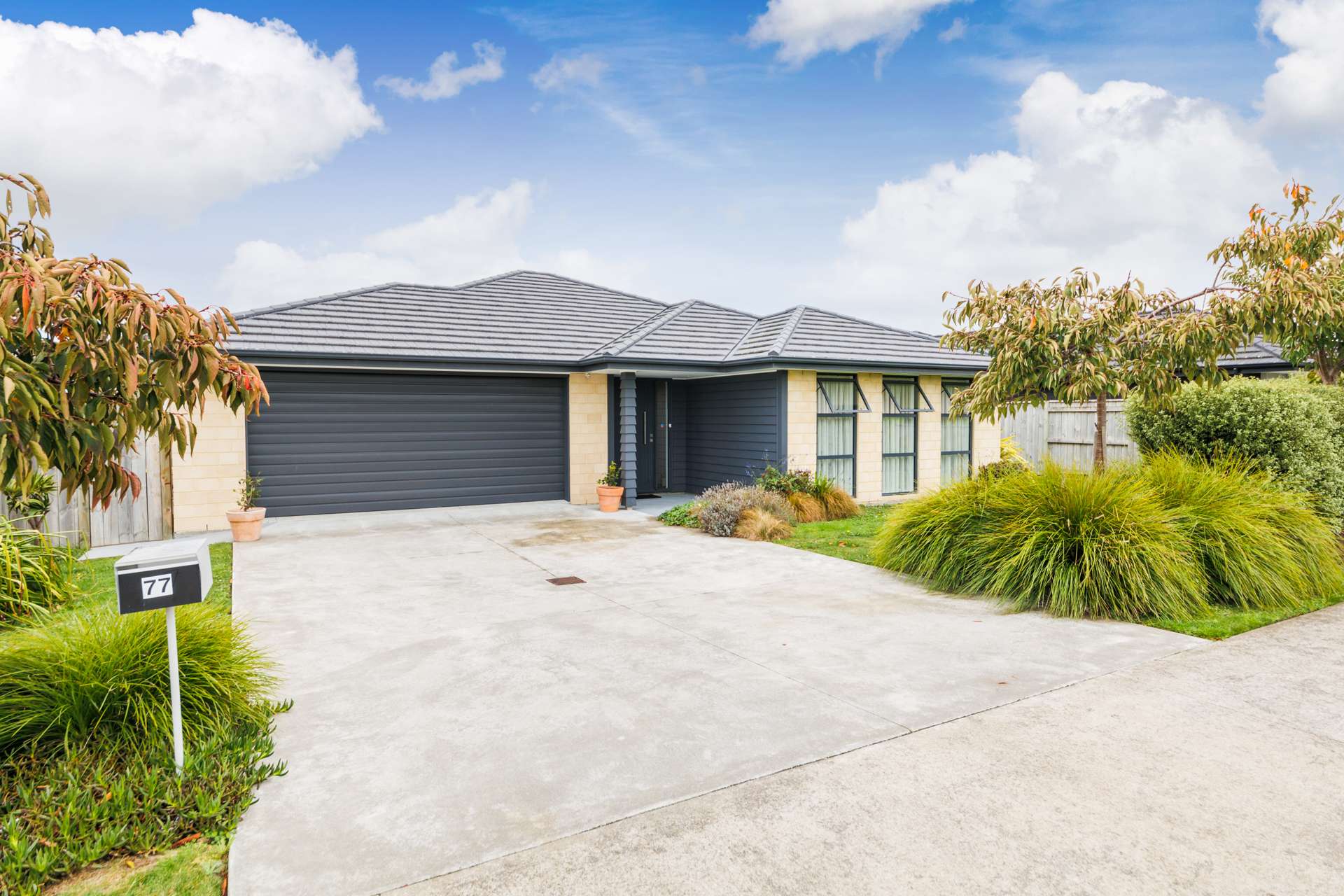 77 Pharazyn Street Feilding_0