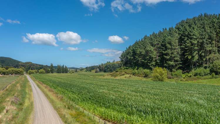 532 Waiatai Road Wairoa_10