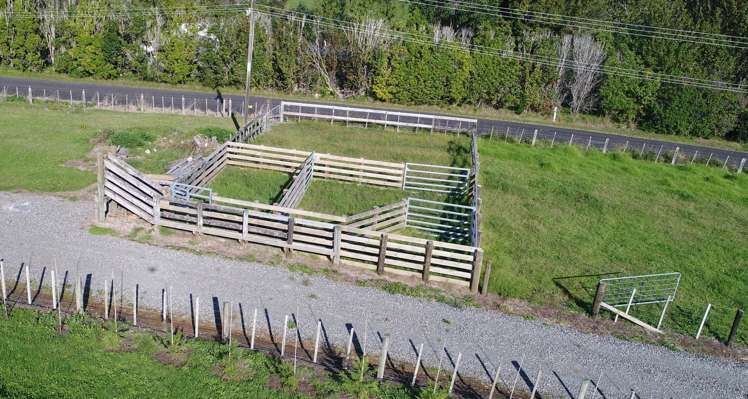 531 Wright Road Aongatete_19