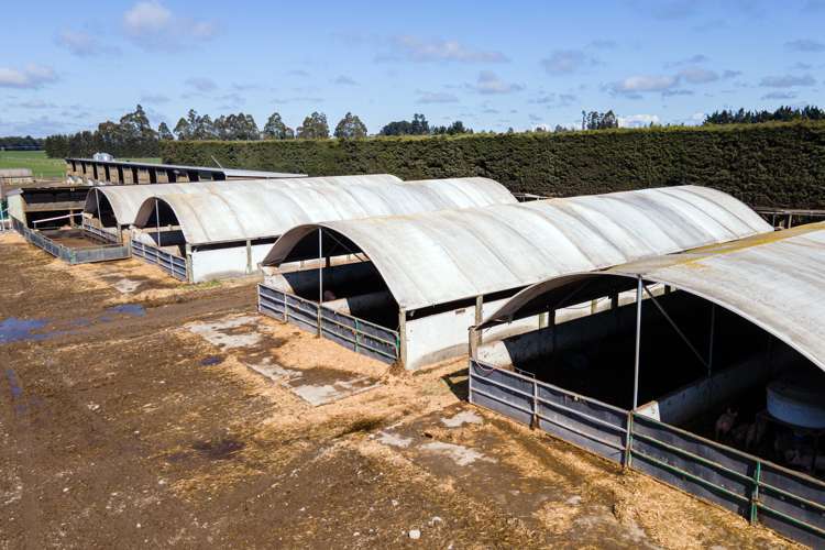 319 Methven Chertsey Road Methven_17