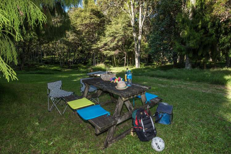 851 Wright Road Aongatete_6