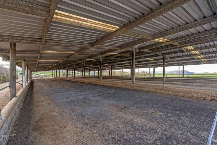 165 McBeth Road Hikuai_9
