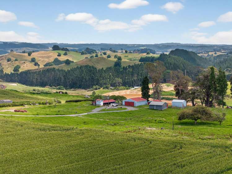 764 SH 29 Ferncliffe Farm Tauriko_10