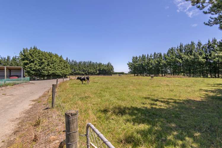 215 Harmans Road Leeston_13