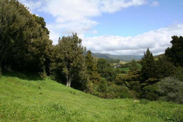 239c Waitawheta Road Waikino_18