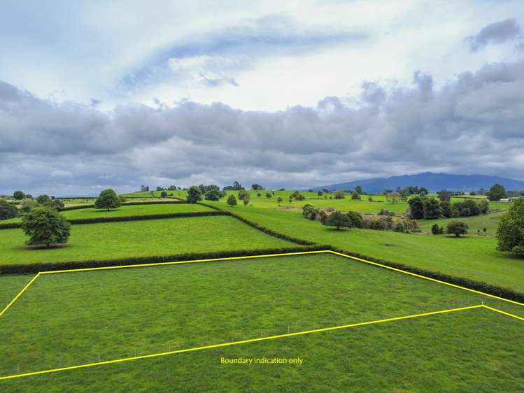 319 Pirongia Road Te Awamutu_3