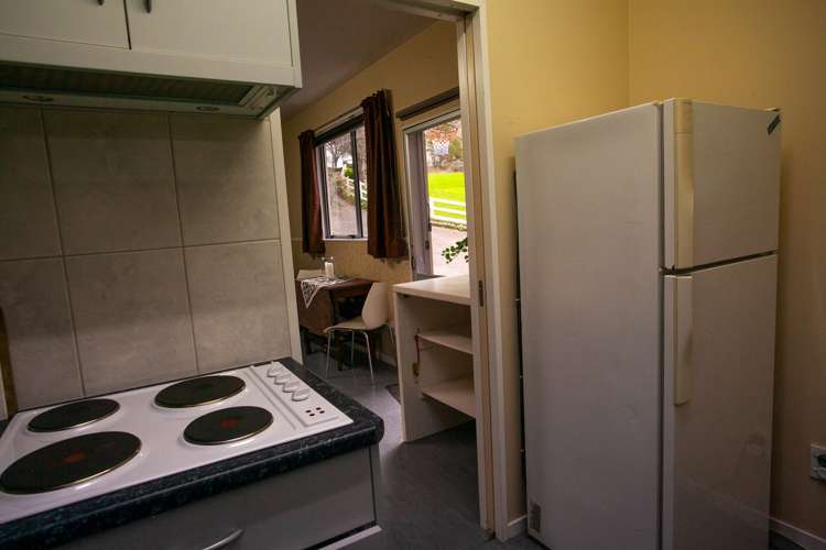 129 Ara-Kotinga Whitford_8