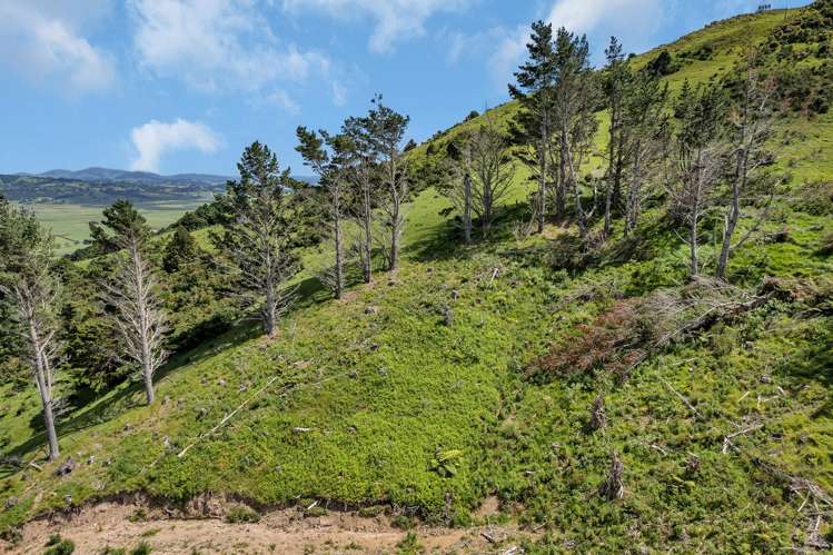 75 Parakiore Road Ngararatunua_11