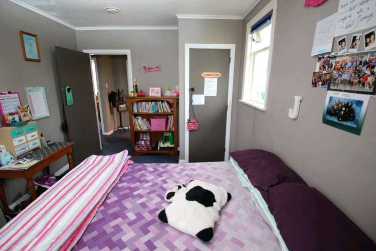 20 Ward Street Bulls_24