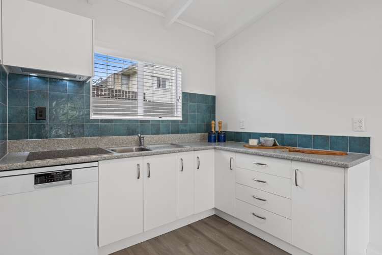 5b Greerton Road Gate Pa_6