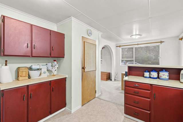 7 Pain Street Bulls_3