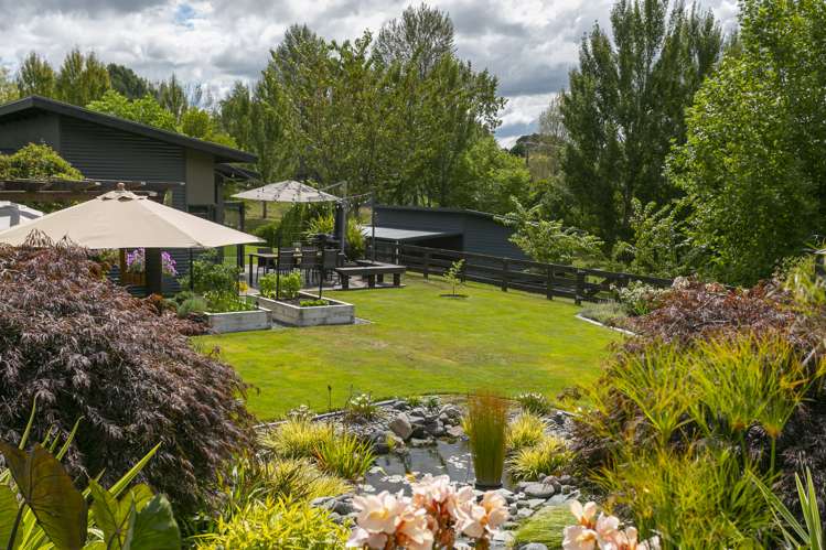 139 Palmer Mill Road Wairakei and Surrounds_1