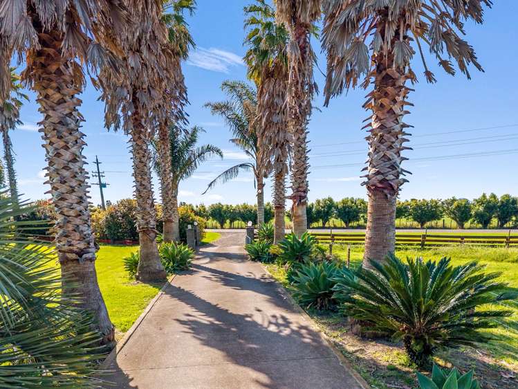 274 Te Rahu Road Poroporo_31