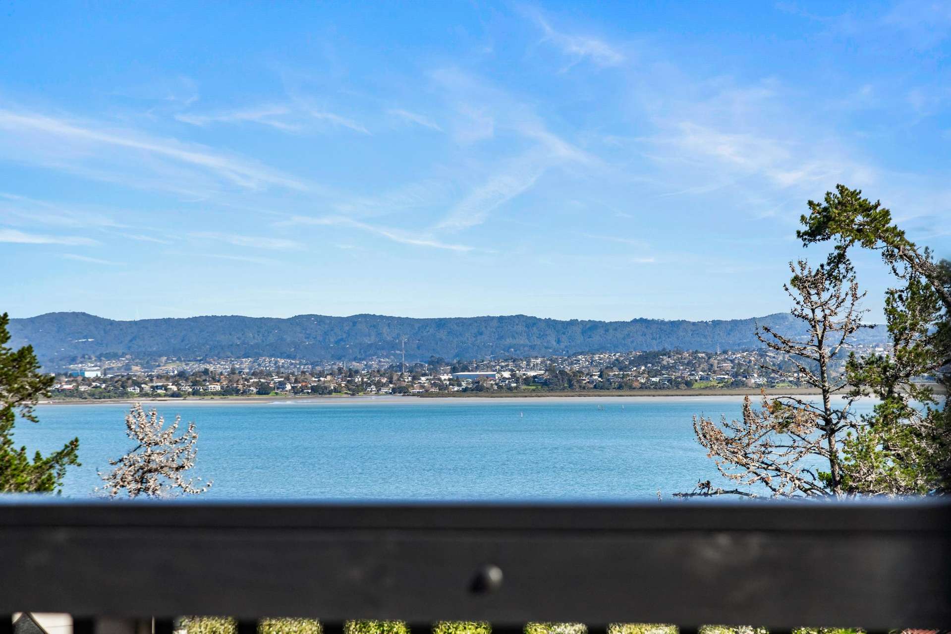 8 Eucalyptus Place Beach Haven_0