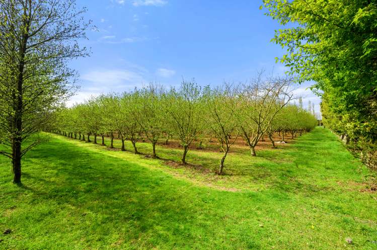 446 Buchanans Road Yaldhurst_8