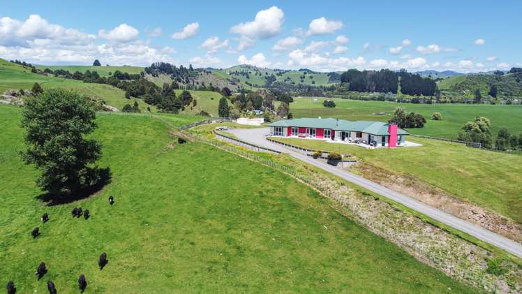 331 Burnand Road Manunui_24