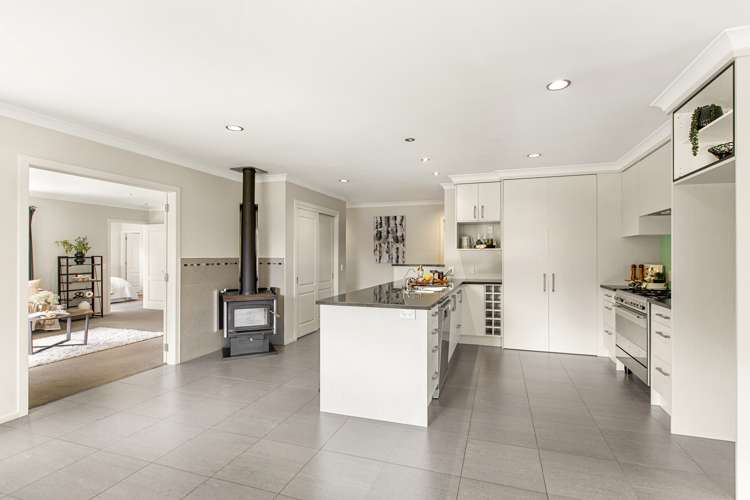 1068a Old Mountain Road Raglan_13