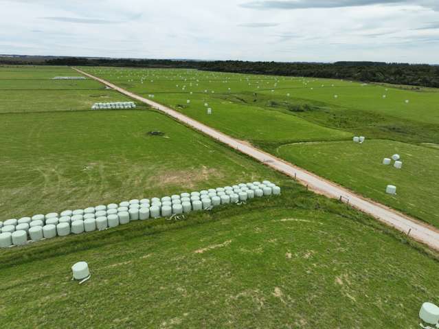 Gorge Road Gorge Road_1