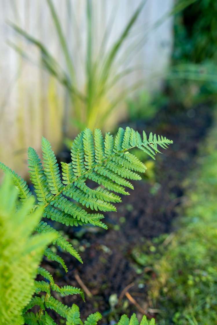 4/35 Neill Street Hornby_11