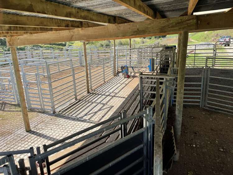 808 Roto Road Ohura_7