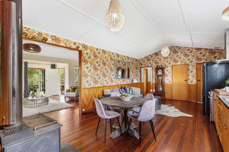 94 Ara-Kotinga Whitford_7