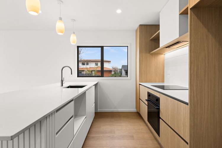 1/102 Auckland Road Greenmeadows_2