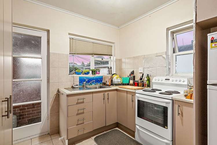 6 Eastdale Road Avondale_1