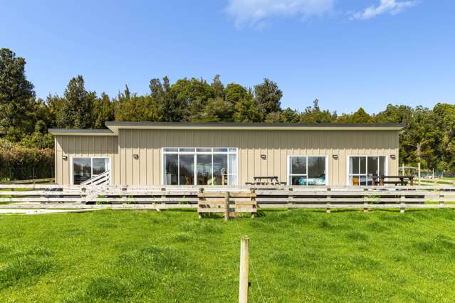 2 Sarona Park Drive Omanawa_3