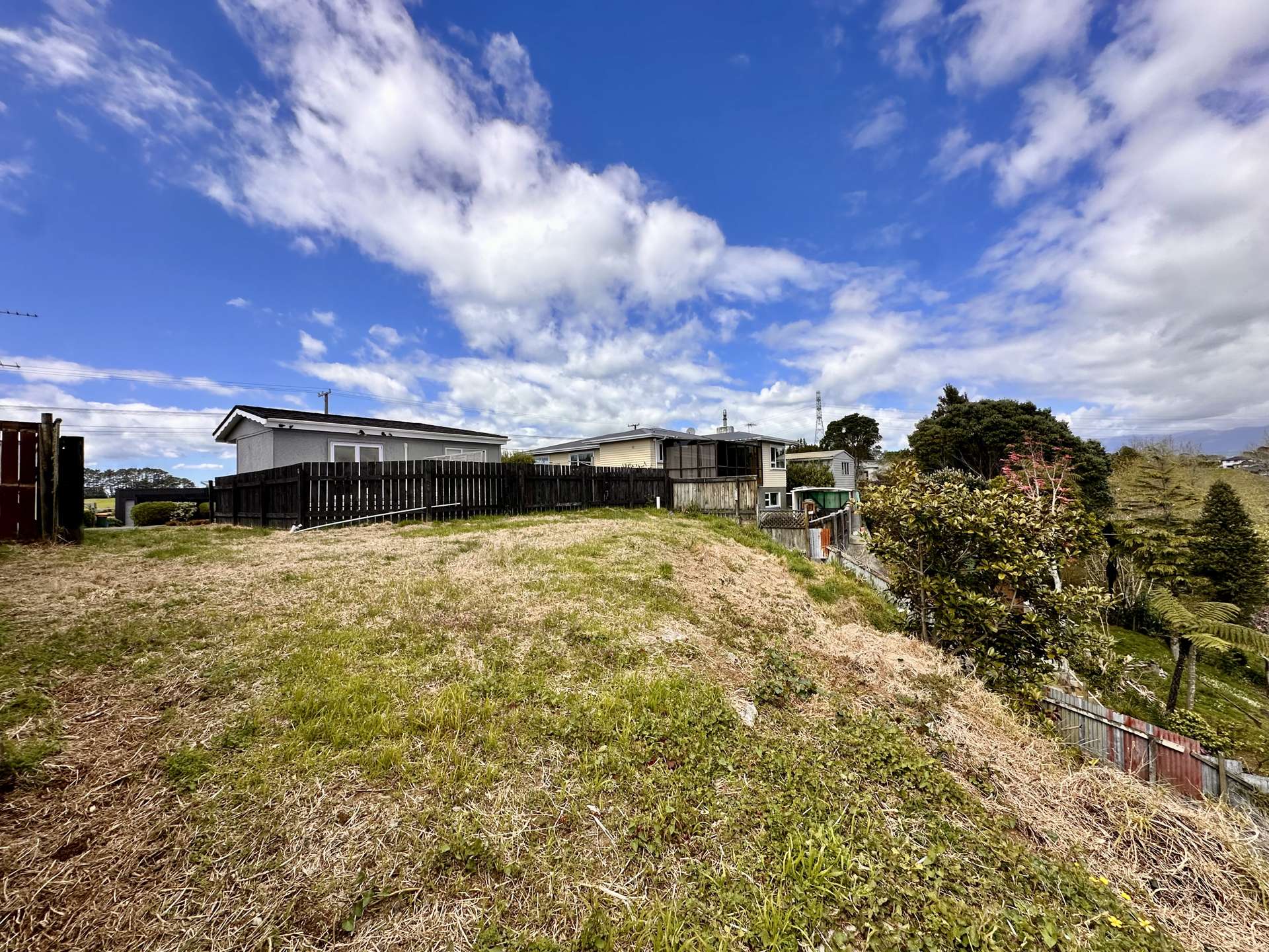 466A Carrington Street Upper Vogeltown_0