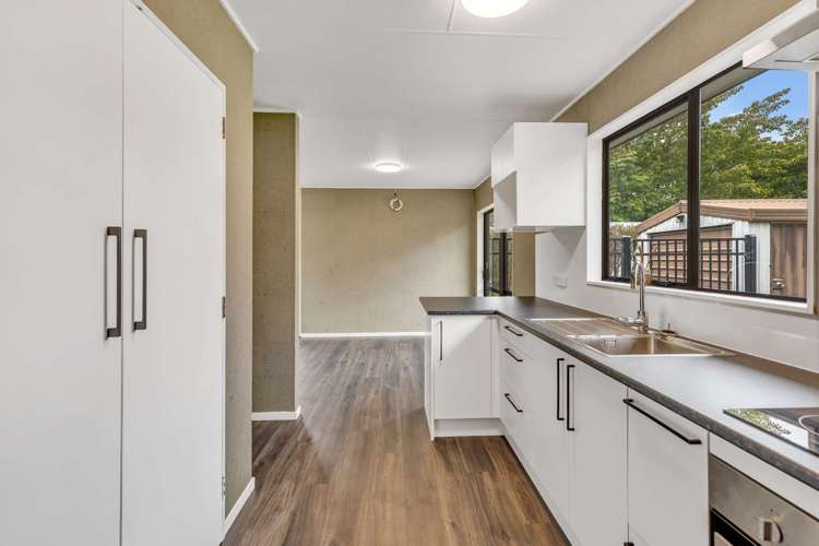 6 Kirkcaldie Grove Levin_9