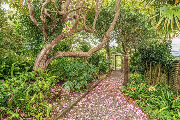 1 Brassey Road Saint Johns Hill_25