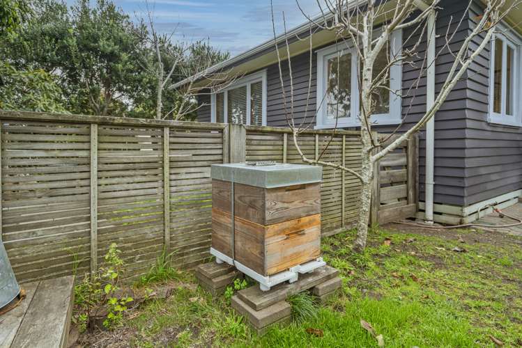 14 Kenneth Avenue Whitianga_25