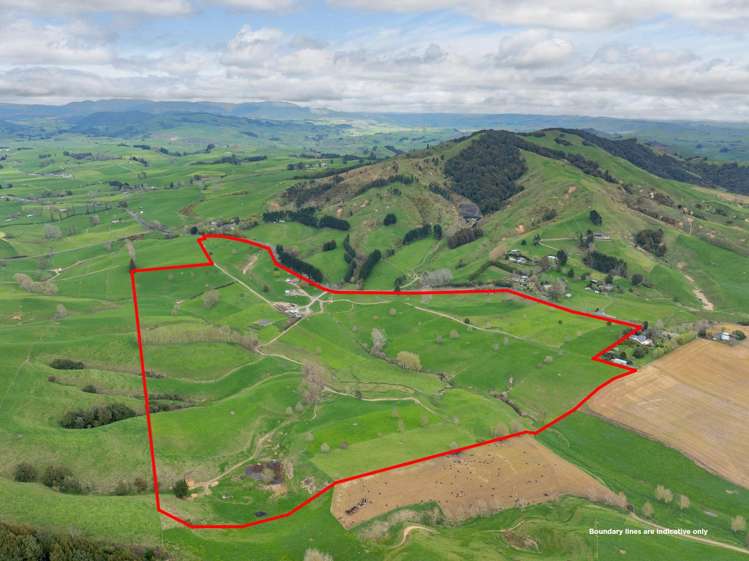 703 Bayley Road Te Awamutu_21
