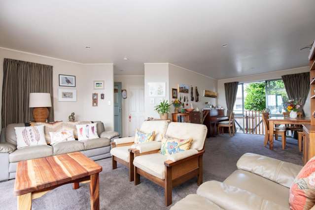 53 River Road Ngatea_4