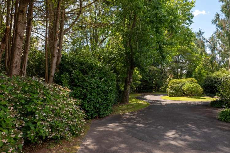 1080 Paradise Valley Road Ngongotaha Valley_31