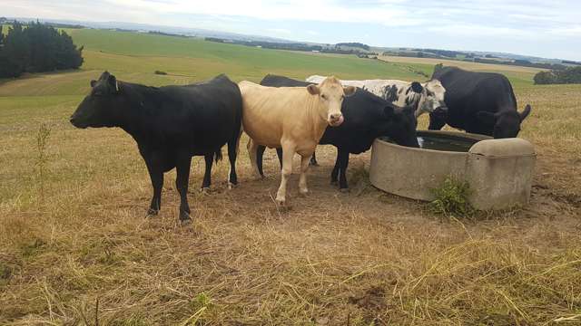 1518 Clinton Highway Clinton and Surrounds_1